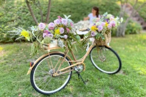 Bicicletas vintage decorativas