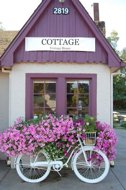 bicicleta vintage de decoración con flores rosas