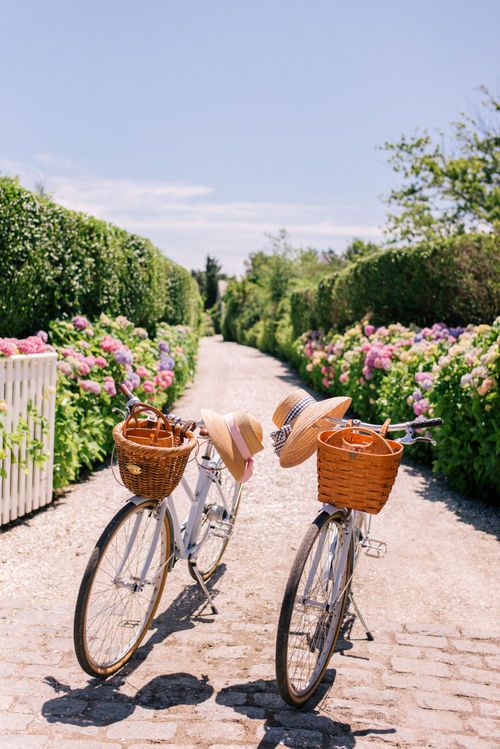 bicicletas de decoración en la naturaleza